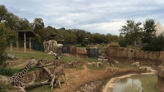 Hotel Near Dallas Zoo Le Merin By The Galleria Dallas Zoo Le Merin By The Galleria